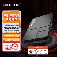 七彩虹(Colorful)1T SSD固态硬盘 台式机笔记本通用 SATA3.0接口 SL500 256G【原装空盘+装机配件】 SATA3.0 接口