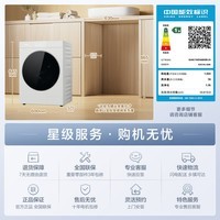 松下（Panasonic）冰川阿尔卑斯系列 滚筒单洗 10KG大容量 纯平全嵌 离心净水洗 光动银除菌 XQG100-86B5