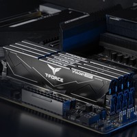 十铨科技VULCAN 火神DDR5内存条 海力士 台式机矮马甲条 6000 C28 10层PCB板 6000 32G(2x16G) C38【美光】单面 黑