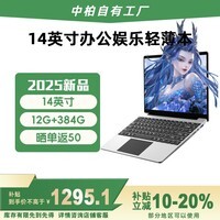 中柏（Jumper）国家补贴【2025新品】14英寸12G+384G(128G+256G)轻薄本护眼商务办公学习笔记本电脑EZbook S7XT