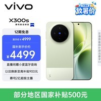 vivo X300s 12GB+256GB 胶片绿 蔡司2亿超级主摄 蔡司APO超级长焦 144Hz蔡司大师色彩屏 拍照 AI手机