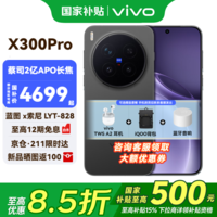 vivo X300 Pro 新品5G手机 国补专享 蔡司2 亿 APO 超级长焦AI 影像旗舰 12+256G 纯粹黑 官方标配 全网通