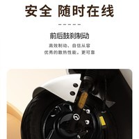 金箭电动摩托车天路续航80公里60V20A铅酸电池800W大动力26L大容量超长续航踏板电动车 浅米金