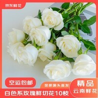 京东鲜花云南昆明鲜花基地直发10支白色玫瑰生活鲜花源头直发
