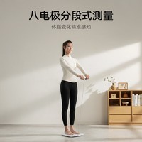 米家（MIJIA）小米智能八电极体脂秤S800体重管理家用体重秤电子秤 雾青色 双频精准检测 支持蓝牙连接 减肥专用