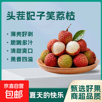部分预售海南妃子笑当季头茬新鲜水果荔枝生鲜水果当季 海南妃子笑荔枝带箱5斤净重4斤起单果12-15g