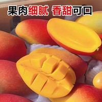 鲜宝道海南贵妃芒果新鲜热带应季水果 当季甜心 5斤贵妃芒单果100-200克净重4.5斤