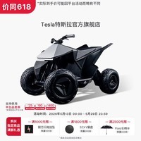 特斯拉（Tesla）官方 Cyberquad for Kids 玩具车沙滩车儿童电动车 Cyberquad 玩具车