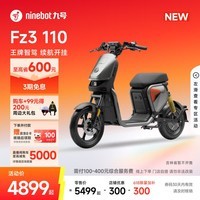 九号(Ninebot)【新国标电自新品】九号电动Fz3 110智能长续航电动自行车【门店自提】 到门店选颜色