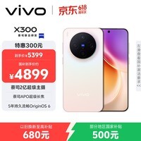 vivo X300 16GB+512GB 幸运彩 蔡司2亿超级主摄 蔡司APO超级长焦 5年持久流畅OriginOS 6 拍照 AI手机