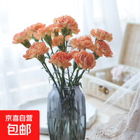 康乃馨鲜花送妈妈礼物母亲节鲜切花基地直发 康乃馨10枝随机色
