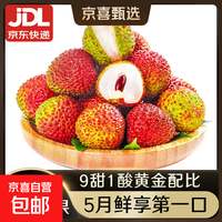 部分预售正宗海南妃子笑荔枝 现摘现发 爆汁甜脆核小冷链包邮 带箱5斤净重4斤单果13-15g+
