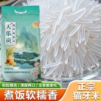 天乐贡新米一级长粒香10斤大米丝苗米猫牙米长粒大米2025年大米 花亭稻香米【10斤】 甄选大米【2025年新米 精装】