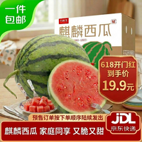 京鲜生【预售】无籽麒麟西瓜 净重5-7斤 1粒生鲜水果源头直发包邮
