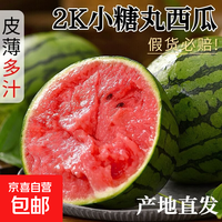 头茬小糖丸西瓜正宗爆款砀山2K早春红玉薄皮西瓜现摘新鲜孕妇水果 1.5-2斤1个