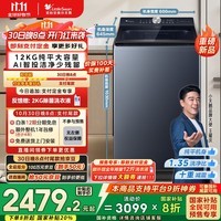 小天鹅（LittleSwan）波轮洗衣机全自动家用 12KG大容量纯平 水魔方防缠绕 超微净泡 TB12U21 以旧换新 京东自营