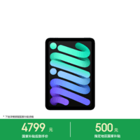 Apple/苹果 iPad mini (A17 Pro) 8.3英寸 平板电脑(256G WLAN版/mini7/MXNA3CH/A)深空灰色
