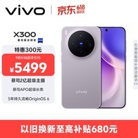 vivo X300  16GB+1TB 惬意紫 【地方补贴专享版】蔡司2亿超级主摄 蔡司APO超级长焦 拍照 AI手机