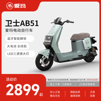 爱玛(AIMA)【门店自提】卫士符合新新国标可上牌高颜值长续航大电池电动自行车电瓶车 到店选色提车
