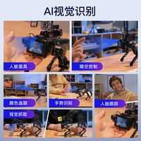 LUWU DYNAMICS陆吾智能XGO-lite3桌面级四足机器狗 支持远程/WiFi/示例模式 树莓派5智能交互 Ai仿生陪伴机器人