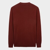 才子（TRIES）100%纯羊毛衫男士秋冬加厚半高领毛衣柔软亲肤保暖纯色打底针织衫 棕色 XL 50 （175/92A）