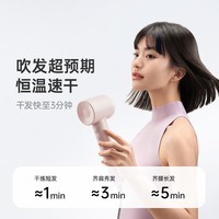 徕芬Laifen SE Lite 家用入门款高速吹风机 莱芬大风力速干低噪音学生宿舍便携风筒 生日礼物推荐 SE lite奶茶色