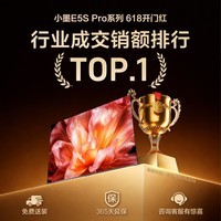 海信RGB-MiniLED电视小墨E5S Pro 100吋【送装一体-伸缩挂架】4680分区玲珑真彩背光