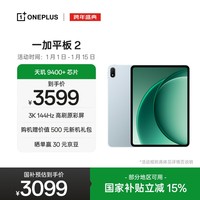 一加平板 2 国家补贴12.1英寸平板电脑 天玑9400+芯片 3K144Hz高刷原彩屏16GB+512GB天青 办公游戏平板