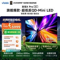 Vidda 发现X Pro 75英寸  QD-Mini LED 家电补贴世界杯定制海信电视75VX5Q-PRO