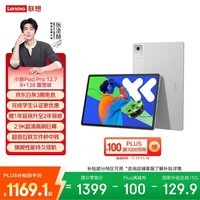联想小新PadPro12.7 2025款平板电脑 2.9K高刷全面屏 娱乐学习 10200mAh 8+128G霜雪银