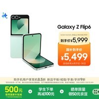 三星Galaxy Z Flip6 国家补贴 AI手机 折叠屏手机 大视野智能外屏 骁龙8 Gen3 双卡 12GB+512GB 青薄荷