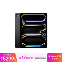 Apple/苹果 iPad Pro 13英寸 M4芯片 2024年新款平板电脑(2TB eSIM版/标准玻璃/MVY83CH/A)深空黑色