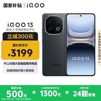 iQOO 13【国家补贴】12GB+256GB 赛道版 骁龙8至尊版 2K护眼屏 120W快充长续航 5G电竞手机
