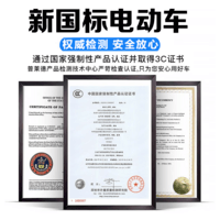 普莱德新国标折叠电动自行车超长续航轻骑电动车铝合金代驾车锂电池助力男女成人电瓶车代步电单车 标准版-汽车级电芯35A-助力500KM