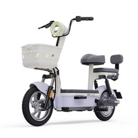 绿源【新品】新国标电动自行车FBZ7 48V20A铅酸长续航电动车乐骑10 男女生小型轻便通勤代步车 烟沙紫 智能APP解锁