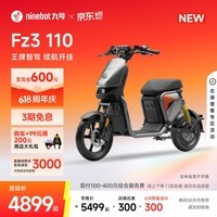 九号（Ninebot）【新国标电自新品】九号电动Fz3 110智能长续航电动自行车【门店自提】 到门店选颜色