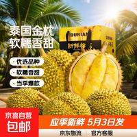 5月25日前发货泰国巴掌榴莲软糯香甜应季巴掌榴莲 8-10斤(共2-4个装,大小随机非礼盒)