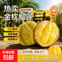 5月25日前发货泰国进口金枕榴莲 巴掌榴莲鲜果 榴莲新鲜生鲜水果 8-10斤（共发2-4个果，大小随机）