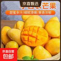 【26年爆款】海南小台芒纯甜芒果源头直发 带箱1斤装70-90g