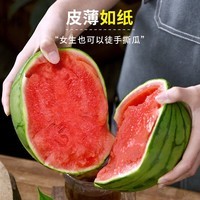 2k小糖丸西瓜 手撕薄皮 新鲜水果 现摘直发 小糖丸5-6斤(1-2粒)手撕爆甜小西瓜