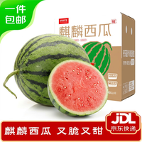 京鲜生无籽麒麟西瓜 净重7-9斤 1粒 生鲜水果源头直发