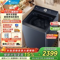 小天鹅（LittleSwan）12/10公斤波轮洗衣机全自动 小乌梅水魔方防缠绕 家用大容量直驱变频洗衣机 以旧换新 纯平超微净泡 波轮 12kg TB12U2