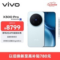 vivo X300 Pro 16GB+1TB 摄影师套装 自在蓝 蔡司2亿APO超级长焦 蓝图影像双芯 拍照 AI手机