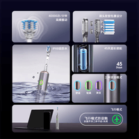 博皓（prooral）电动牙刷铝合金成人扫振自动牙刷磁吸充电情侣牙刷便携 智能牙刷软毛刷头 男女士专用 LS-1 银色