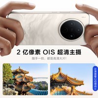 vivo Y500 Pro 12+256 祥云金 2亿HP5旗舰级主摄 7000mAh蓝海电池 IP68+IP69满级防水 【赠话费券】