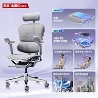 Ergonor【重磅新品】保友金豪E2 Pro 旗舰人体工学椅 办公椅电脑椅电竞椅 银白美国网