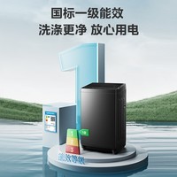 美的(Midea)波轮洗衣机全自动大容量宿舍除螨洗品质电机 双重抗菌省水省电一级能效专利免清洗不锈钢立方内筒 MB8V56T 新款定频 波轮 8kg