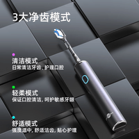 博皓(prooral)电动牙刷铝合金成人扫振自动牙刷磁吸充电情侣牙刷便携 智能牙刷软毛刷头 男女士专用 LS-1 紫色