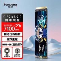 梵想（FANXIANG）1TB SSD固态硬盘 M.2接口NVMe协议PCIe4.0x4 PS5台式机笔记本电脑扩展硬盘 PC存储配件 S790E