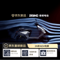 ZEEHO极核电动【26新款AE4 Pro2/Pro2+】高性能电摩电动车踏板电动车 AE4Pro2+(颜色到店选)